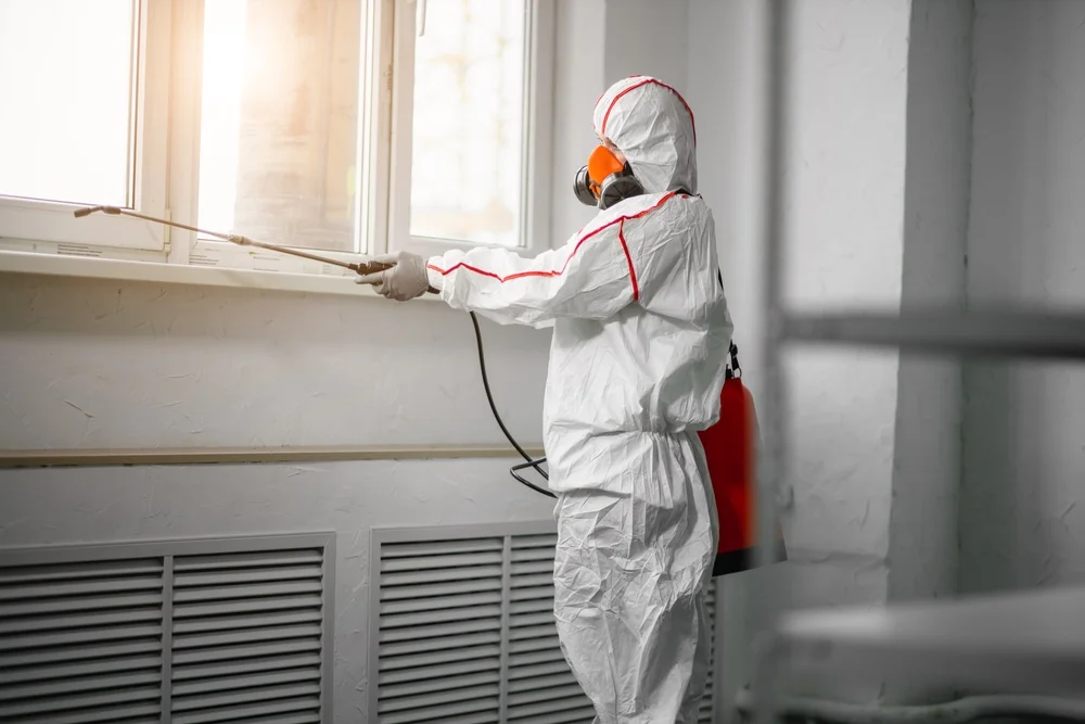 Professional mold remediation services in Dunbarton, NH